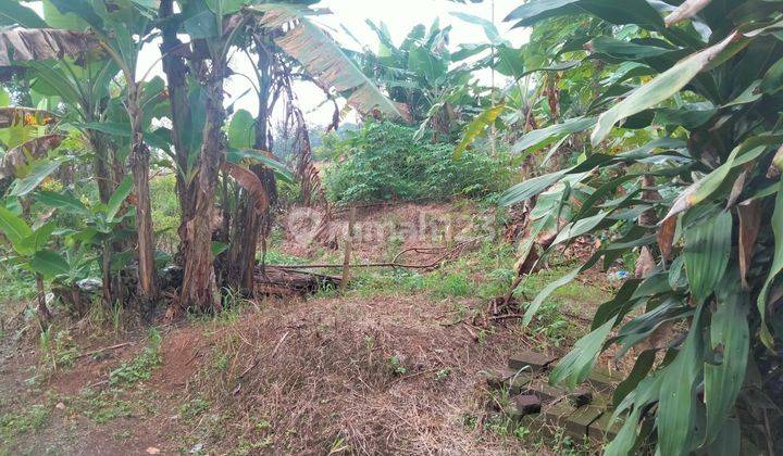 Tanah Kebun Dekat Wisata Tanjung Lesung Banten. 1