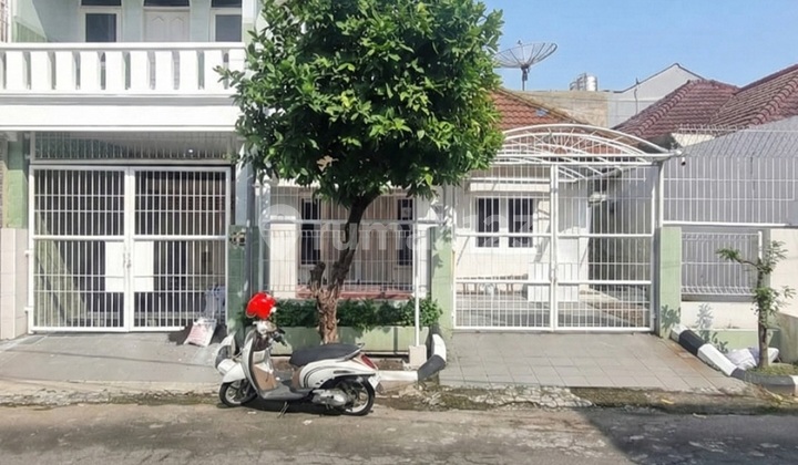 For Rent Sutorejo Prima House