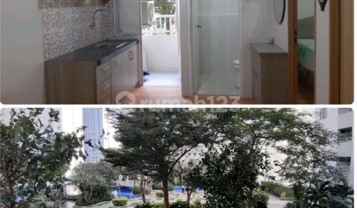 Disewakan Apartemen Murah Full Furnish Educity Tower Harvard 1