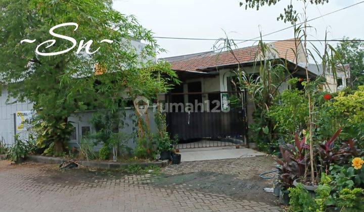 DIJUAL RUMAH MURAH SUTOREJO HOOK 1