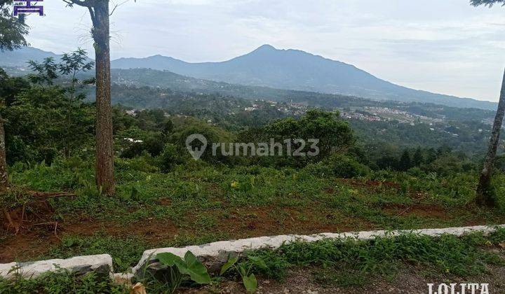 Jual Cepat Tanah Murah Siap Bangun Luas 1,1Ha di Cipayung Megamendung Bogor 2