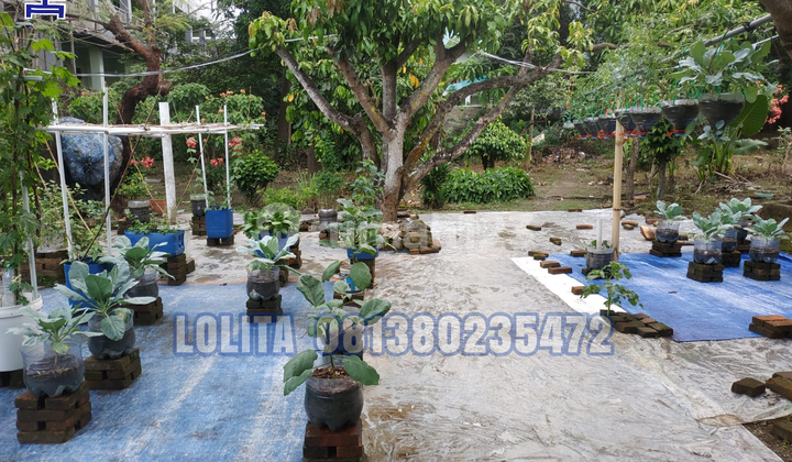 Tanah Lahan Bonus Rumah Dan Kost 14 Kamar Di Sumber Kab Cirebon 4