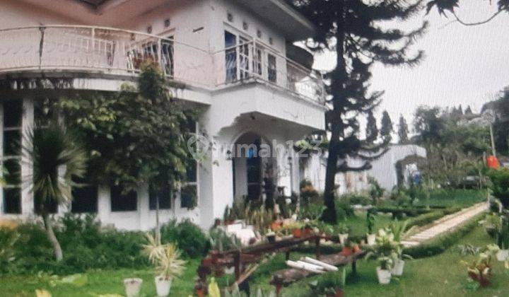 Villa dgn Tanah yang luas Cipanas 1