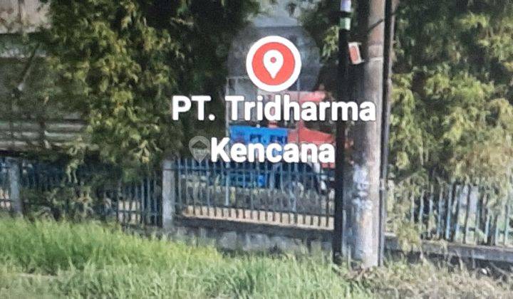 Gudang ex PT Tridarma Kencana  5