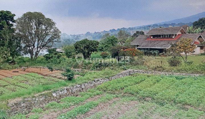 Tanah kosong satu hamparan  1