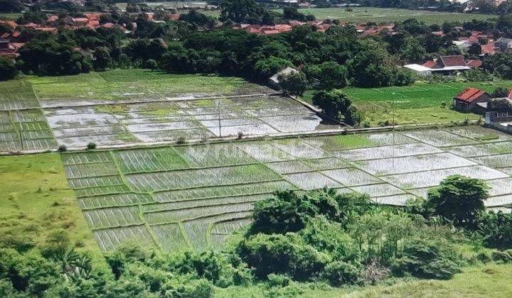 Tanah kosong dipinggir jalan raya  2