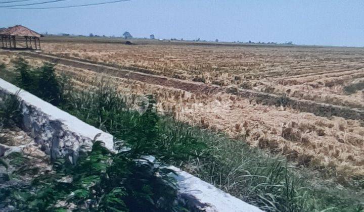 Tanah sawah kosong satu Hamparan 2