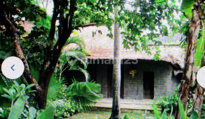 Rumah Mewah Badung 2