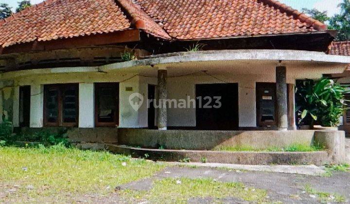 Rumah Tua Hitung Tanah Saja 1