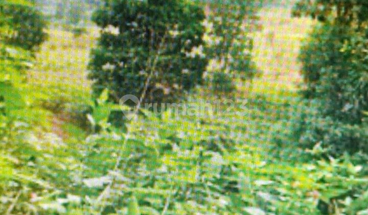 Tanah Kosong Cileungsi