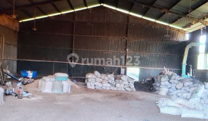 Warehouse in Weru Cirebon Warehouse in Weru Cirebon