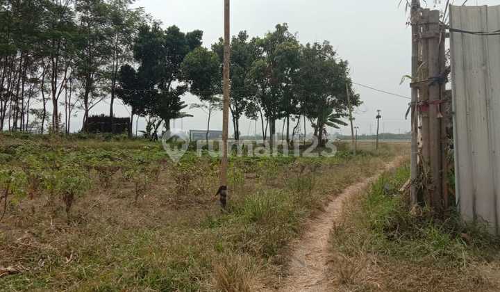 Tanah Luas Area Sejuk di Citunggul, Margaasih 6