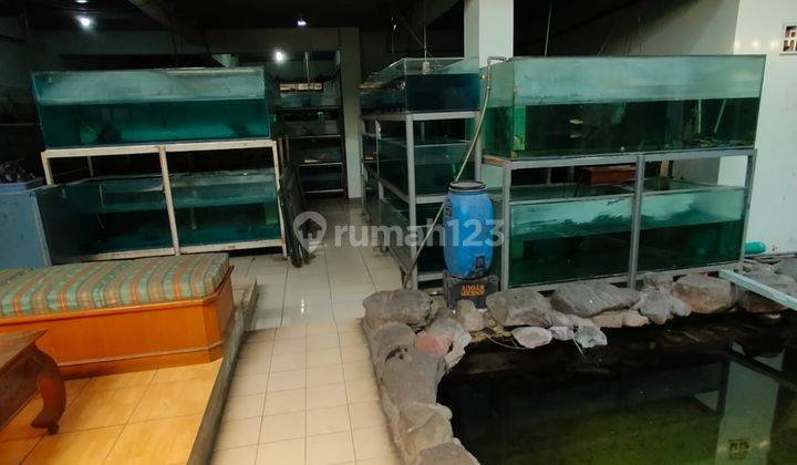 Rumah Cocok Dijadikan Tempat Usaha Maupun Kost di Lodaya 2