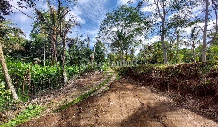 DIJUAL TANAH DI PAYANGAN UBUD GIANYAR BALI 2