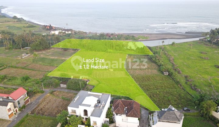 Dijual Tanah Tepi Pantai Pabean Gianyar Bali Dijual Tanah Tepi Pantai Pabean Gianyar Bali