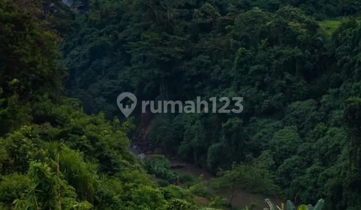 For Sale Land with River Jungle View in Lodtunduh, Ubud, Gianyar, Bali