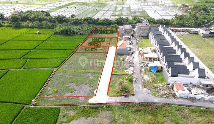 Long Term Land For Rent In Seminyak BALI 1