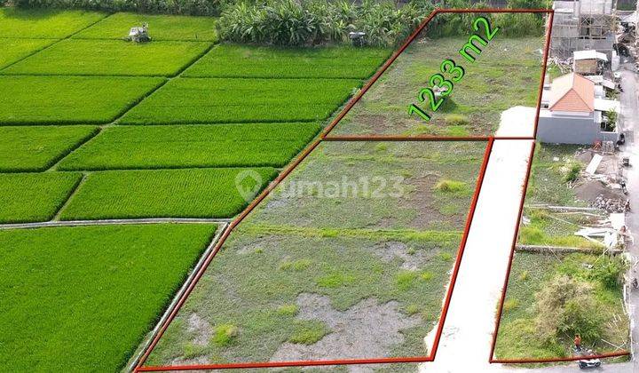 Long Term Land For Rent In Seminyak BALI 2