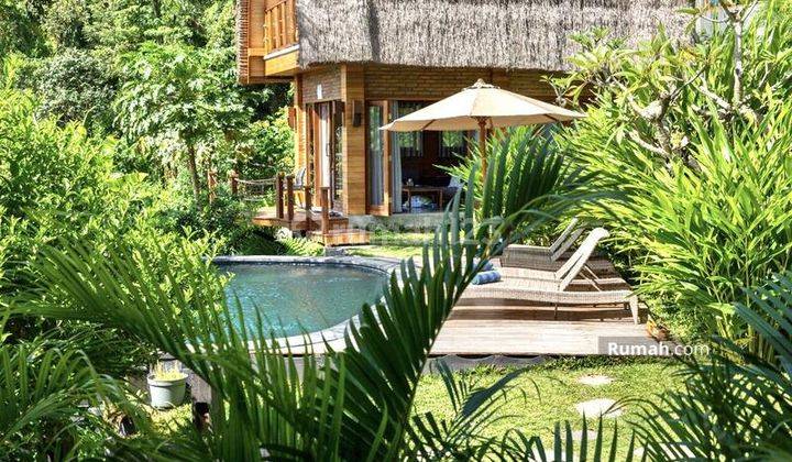 FOR SALE / DIJUAL VILLA NATURAL INDAH & MENAWAN VIEW GUNUNG, SAWAH,SUNGAI DI SIDEMEN KARANG ASEM - BALI.DGN PRIVATE SWIMMING - POOL LOKASI STRATEGIS DEKAT UBUD SANUR AMED  17
