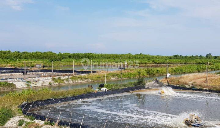 DIJUAL CEPAT LAHAN UTK TAMBAK DI DESA NENAS SIAM,PAGURAWAN,WEDANG DERAS,ASAHAN, SUMATRA UTARA,LOKASI STRATEGIS DEKAT PELABUHAN  KUALA TANJUNG. 2