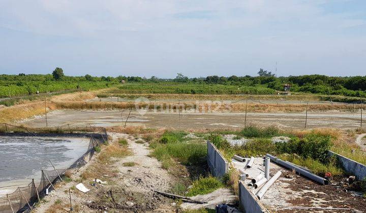 DIJUAL CEPAT LAHAN UTK TAMBAK DI DESA NENAS SIAM,PAGURAWAN,WEDANG DERAS,ASAHAN, SUMATRA UTARA,LOKASI STRATEGIS DEKAT PELABUHAN  KUALA TANJUNG. 5