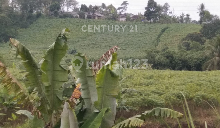 Kavling Luas Dekat Pintu Tol di Jl Raya Parung Kuda Sukabumi
