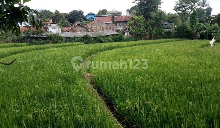 Tanah Jl Cikurutug Cicalengka Kab Bandung