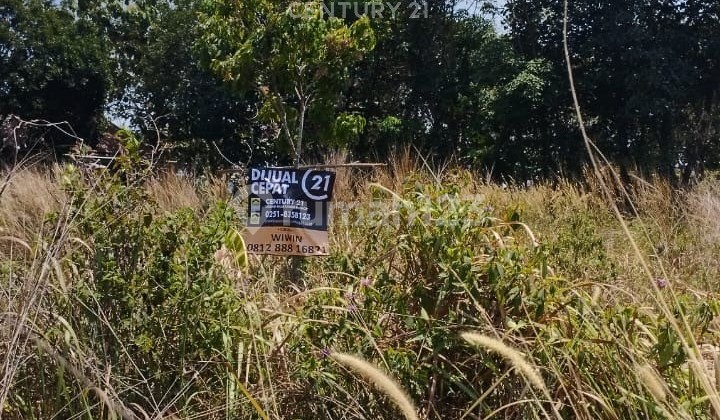 Tanah Jl Raya Bomang Tajur Halang Bogor Tanah Jl Raya Bomang Tajur Halang Bogor