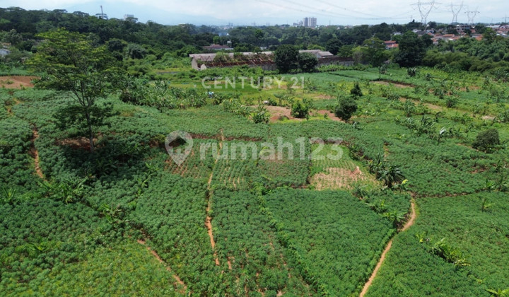 Kavling Cocok untuk Industri atau Perumahan di Citeureup Bogor Kavling Cocok untuk Industri atau Perumahan di Citeureup Bogor