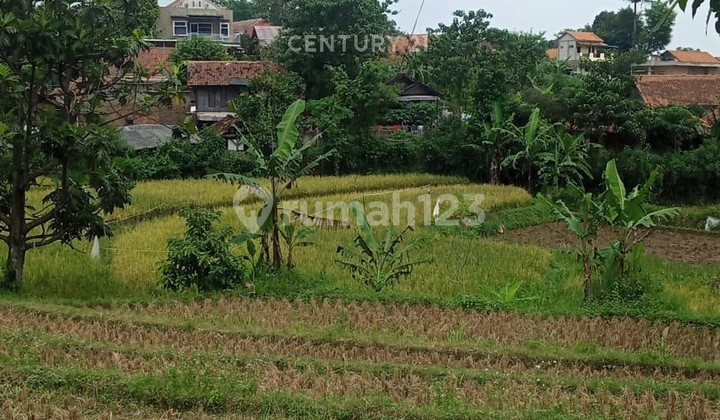 Tanah Jl Cikurutug Cicalengka Kab Bandung  