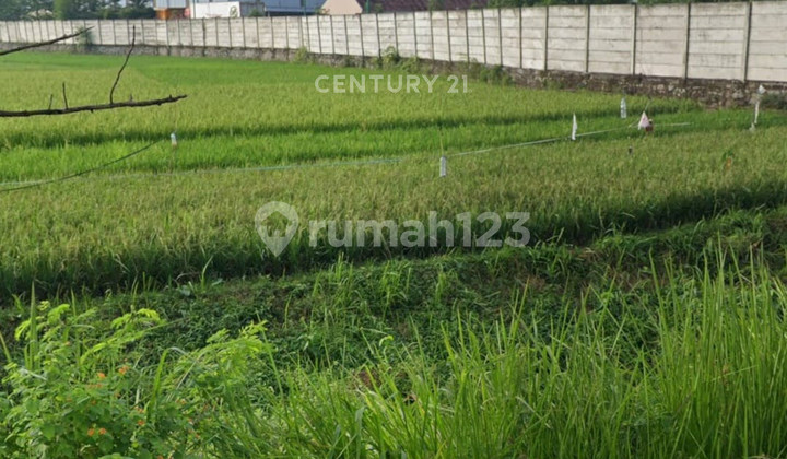 Industrial Plot Area in Weninggalih Jonggol, Bogor Regency