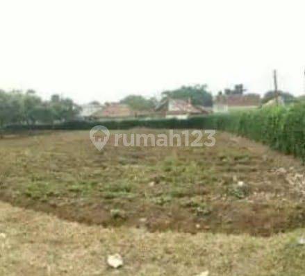 Kavling Luas Di Jl Desa Kebon Jeruk Cibuntu Ciampea Bogor 2