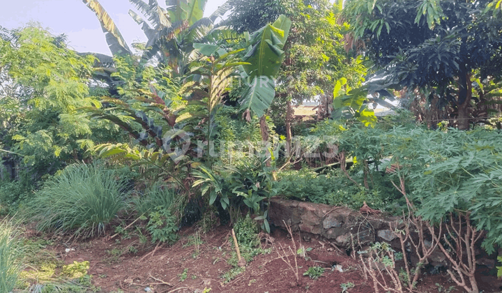 Tanah Dekat Sekolah Dan Perum Di Kp Babakan Mustika Jaya Bekasi Tanah Dekat Sekolah Dan Perum Di Kp Babakan Mustika Jaya Bekasi