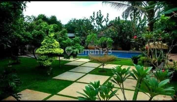 Rumah Asri Modern Tropical Minimalist Di Cipedak Jagakarsa Jaksel 2