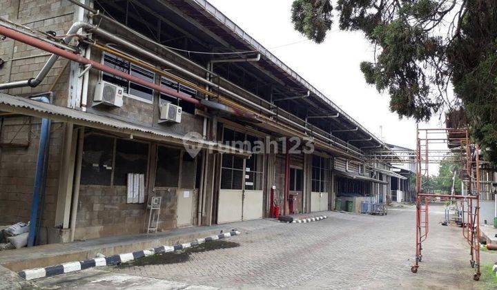 Former Lea Jeans Factory, Price Not Far From NJOP (Standard Market Value)
