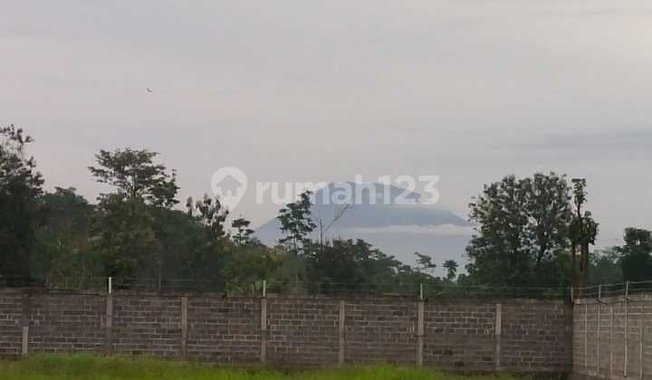 Bonus Rumah Type 60. Tanah Kunir Karanglo Lumajang. Surat Shm. 2