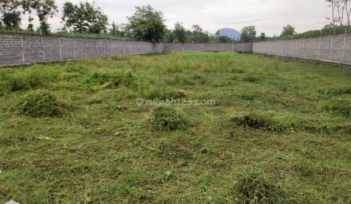 Bonus Rumah Type 60. Tanah Kunir Karanglo Lumajang. Surat Shm. 1