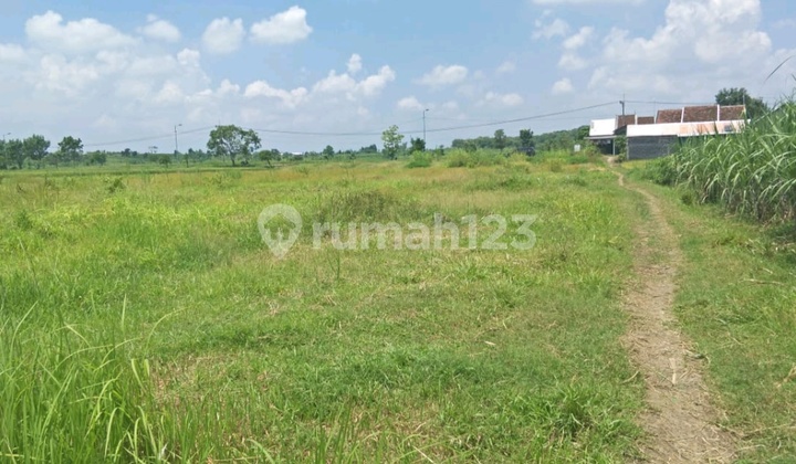 Warehouse and Industrial Land Dawarblandong, MOJOKERTO