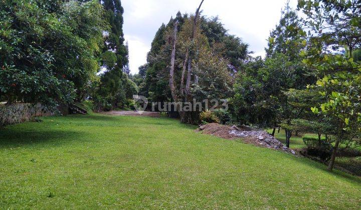 Tanah Murah Di Jual Dengan Proses Secara Lelang Di Jln.Raya Puncak Cisarua Bogor  3