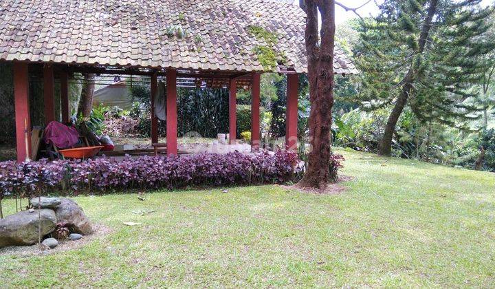 Tanah Murah Di Jual Dengan Proses Secara Lelang Di Jln.Raya Puncak Cisarua Bogor  4
