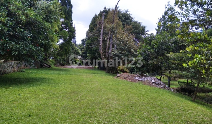Tanah Murah Di Jual Dengan Proses Secara Lelang Di Jln.Raya Puncak Cisarua Bogor  8