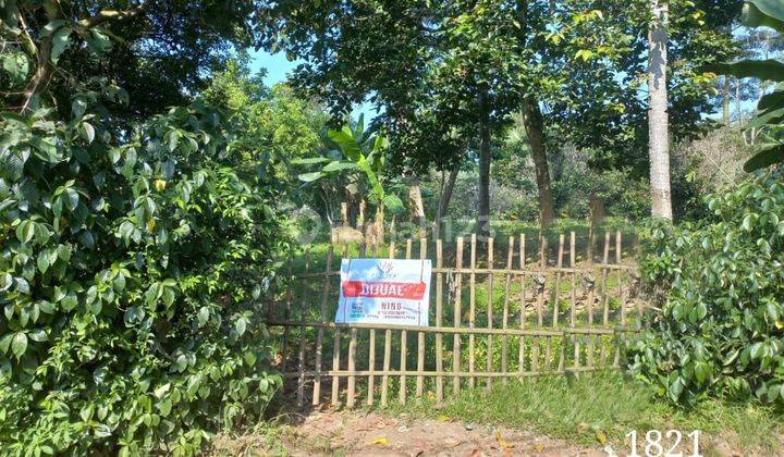 Dijual Kavling 15 Menit Ke Stasiun Walantaka Serang 1