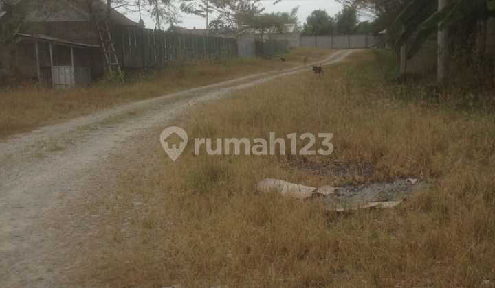 Tanah Dekat Kawasan Deltamas di Karang Sambung Ds. Nagasari Luas 9.000 Rp. 2 Jt m SHM 4