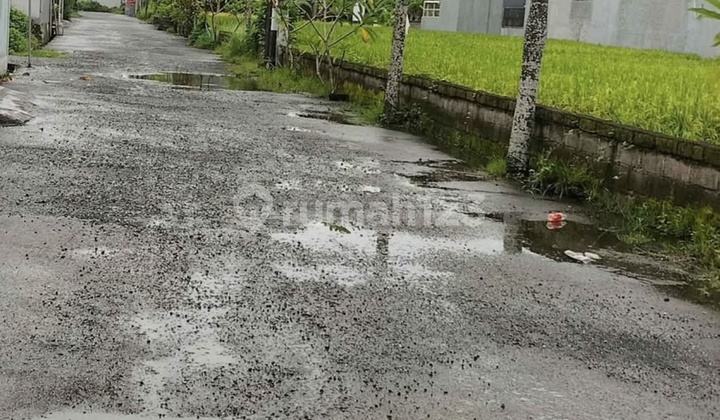 For Rent Fully Furnished House Ready to Live In with Complete Furniture in Perum Puri Panti Graha, Kediri, Tabanan 2