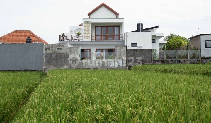 Villa In Cemagi Area With Ricefield View