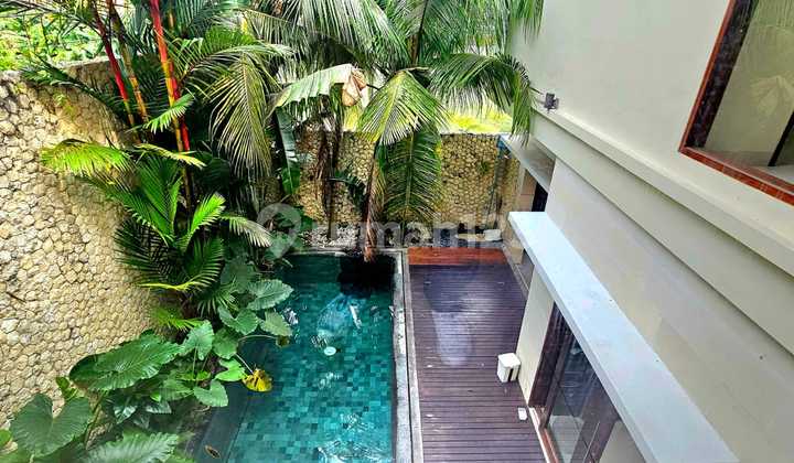 Modern Villa For Yearly Rental Only At Tegal Cupek- Umalas Modern Villa For Yearly Rental Only At Tegal Cupek- Umalas