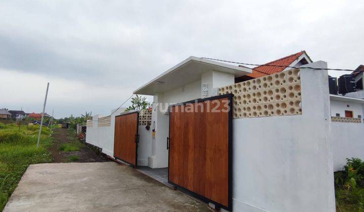 Villla Unfurnished Seseh Minimum 2 Years Rental 2