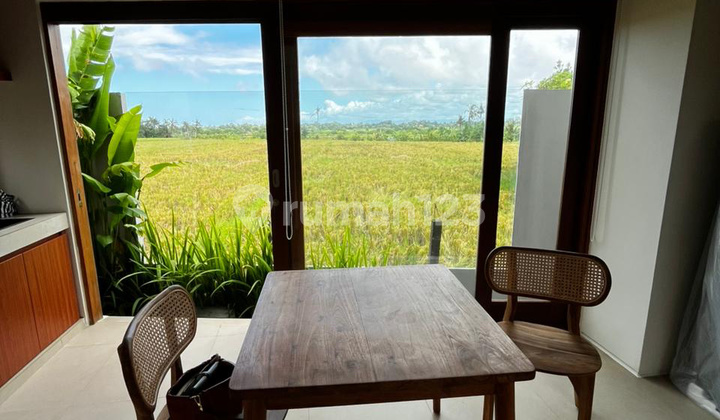 Brand New Semi Villa House At Munggu Mengwi Minimum 2 Years Rental