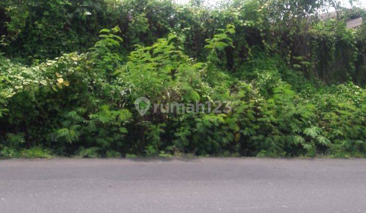 Dijual Tanah pinggir Jalan Darmasaba  1