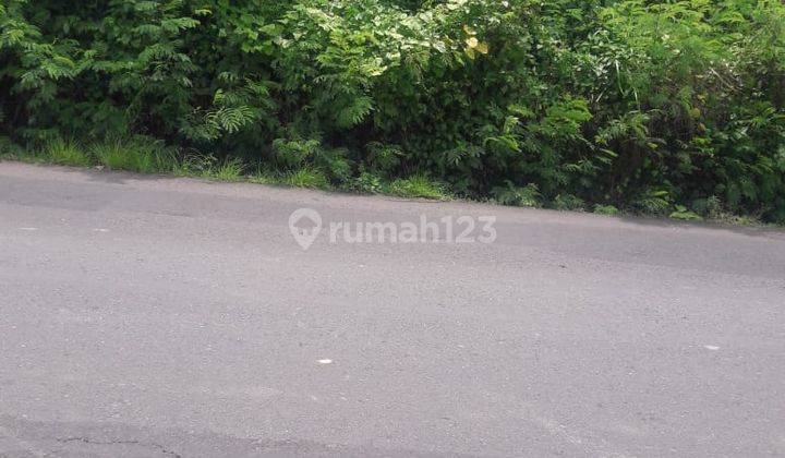 Dijual Tanah pinggir Jalan Darmasaba  3